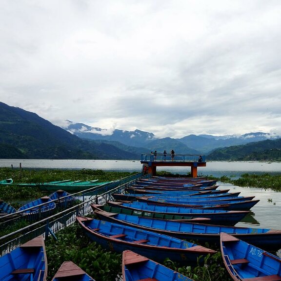 mesepices-thes-infusions-origine-nepal
